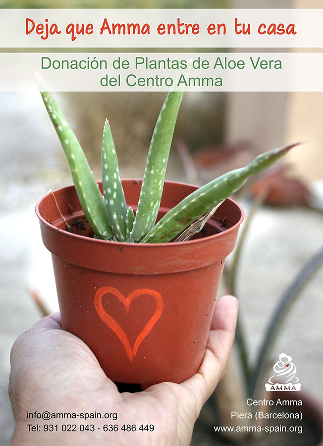 Donación de Aloes
