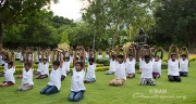 Celebración del Día Internacional del Yoga en las escuelas de Amma, ashrams, centros y grupos de satsang en todo el mundo