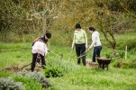 Plantación Greenfriends en  Étura (Vitoria)