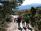Segunda ruta de repoblación forestal en Alozaina Málaga