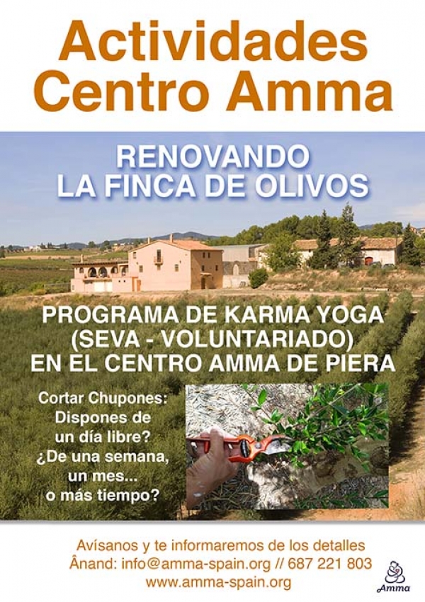 Nuevo Programa de Karma Yoga Renovación de la Finca de Olivos Centro Amma Piera (Barcelona)