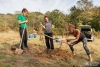 Plantar un árbol significa mucho más que el hecho de plantarlo