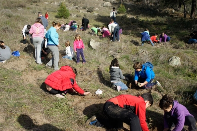 Actividades Greenfriends. Plantaciones en la Sierra de Gredos (Ávila)