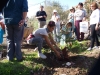 “Plantando para un futuro mejor”: Bosque solidario en Tenerife
