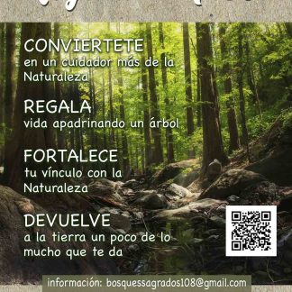 Regala un árbol