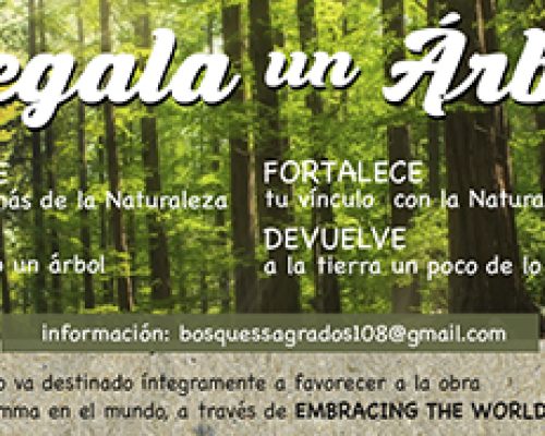 greenfriends_regala_arbol_banner_-2025