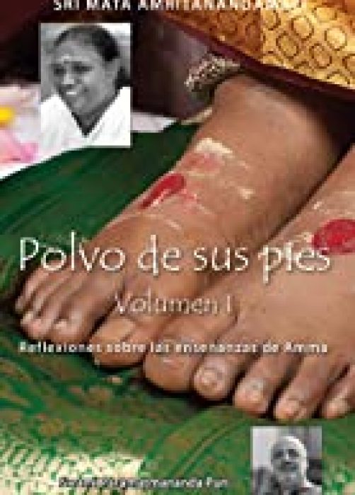 polvo-pies-1.jpg